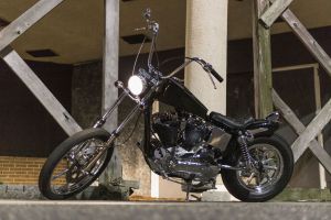 Girl Gang Dena Merlino